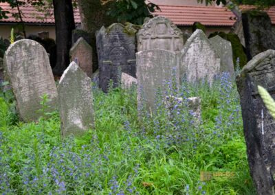 Alter jüdischer Friedhof in Prag