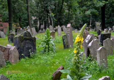 Alter jüdischer Friedhof in Prag