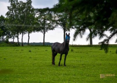 Urlaub in Großhartmannsdorf