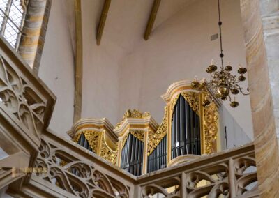 Im Dom zu Freiberg 96 Kleine Silbermann-Orgel Dom St. Marien zu Freiberg