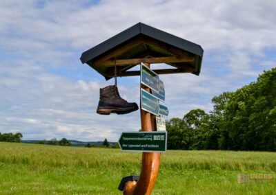 Natur auf dem Weg zur Talsperre Saidenbach