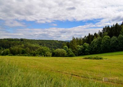 Natur auf dem Weg zur Talsperre Saidenbach