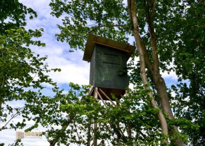 Natur auf dem Weg zur Talsperre Saidenbach