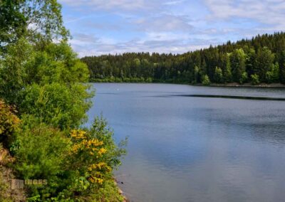 Talsperre Saidenbach