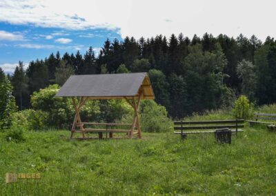 Natur auf dem Weg zur Talsperre Saidenbach