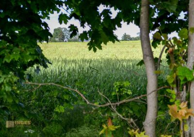 Natur auf dem Weg zur Talsperre Saidenbach
