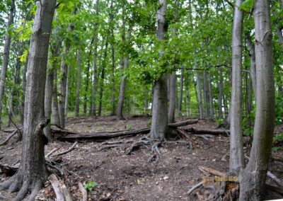 Zick-Zack Weg zum Schloss Augustusburg