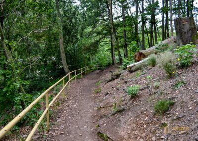 Zick-Zack Weg zum Schloss Augustusburg