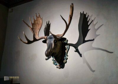 Venussaal Schloss Augustusburg