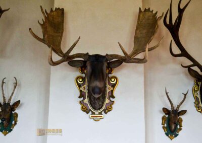 Museum Schloss Augustusburg