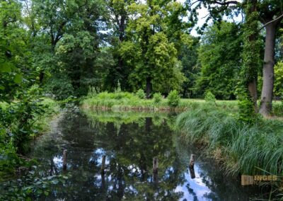 Schlosspark Lübbenau im Spreewald