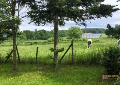 Urlaub in Großhartmannsdorf