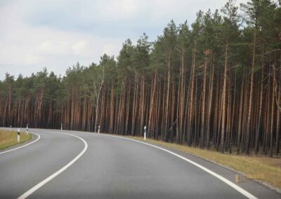 Anfahrt in den Spreewald