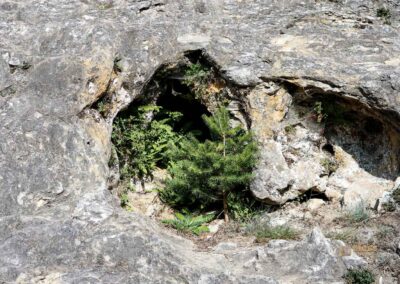 Felsenmeer im Wental