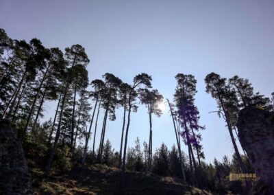 Felsenmeer im Wental