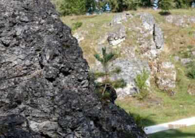 Felsenmeer im Wental