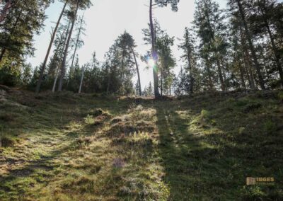 Felsenmeer im Wental