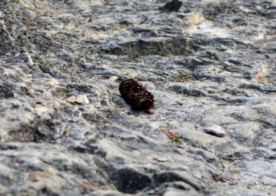 Felsenmeer im Wental