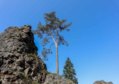 Felsenmeer im Wental