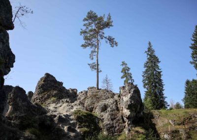 Felsenmeer im Wental