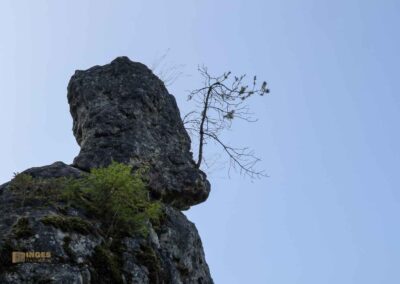 Felsenmeer im Wental