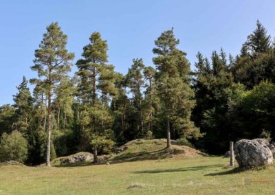 Felsenmeer im Wental