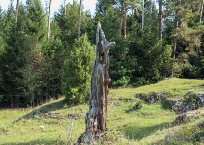 Felsenmeer im Wental