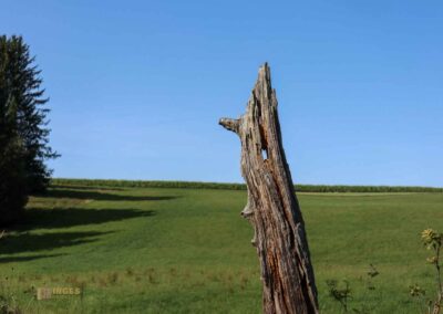 Felsenmeer im Wental
