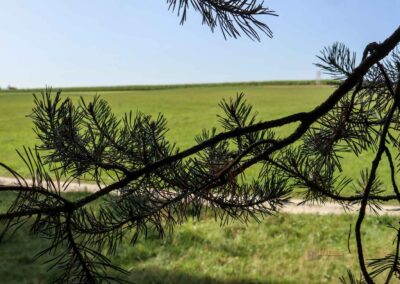 Felsenmeer im Wental