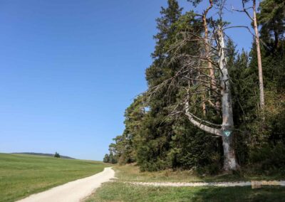 Felsenmeer im Wental