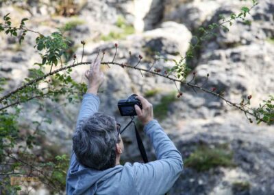 Felsenmeer im Wental