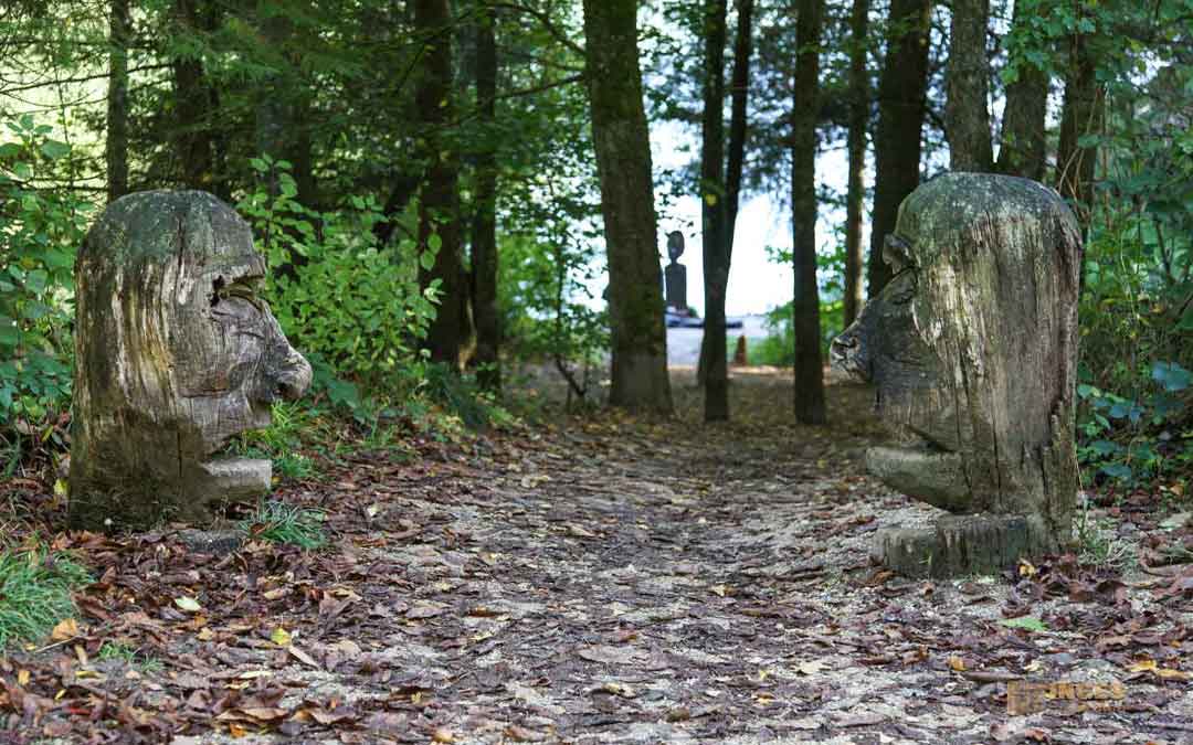 Waldlehrpfad am Herrenbachstausee