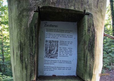 Bei den Waldgeistern am Herrenbachstausee 4 Waldlehrpfad am Herrenbachstausee