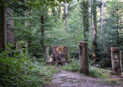 Bei den Waldgeistern am Herrenbachstausee 3 Waldlehrpfad am Herrenbachstausee