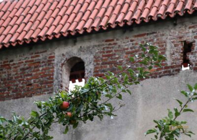 Stadtmauerrundgang in Nördlingen