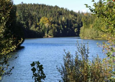 Bei den Waldgeistern am Herrenbachstausee 6 Herrenbachstausee