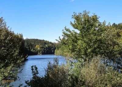 Bei den Waldgeistern am Herrenbachstausee 7 Herrenbachstausee
