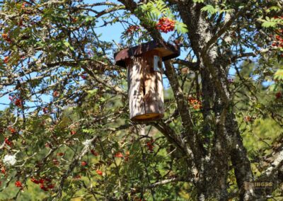 Bei den Waldgeistern am Herrenbachstausee 9 Im Wald am Herrenbachstausee
