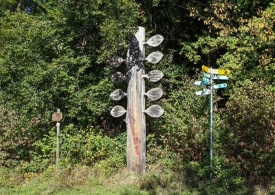 Bei den Waldgeistern am Herrenbachstausee 10 Waldlehrpfad am Herrenbachstausee