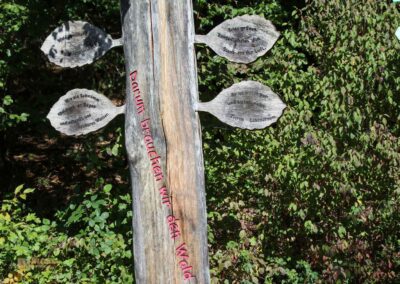 Bei den Waldgeistern am Herrenbachstausee 11 Waldlehrpfad am Herrenbachstausee