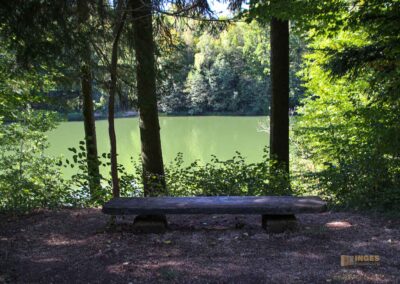 Bei den Waldgeistern am Herrenbachstausee 19 Herrenbachstausee