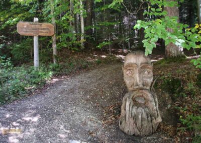 Bei den Waldgeistern am Herrenbachstausee 23 Koboldklinge am Waldlehrpfad am Herrenbachstausee