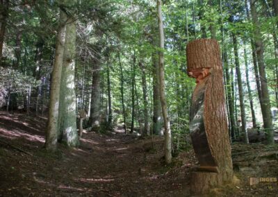 Bei den Waldgeistern am Herrenbachstausee 25 Koboldklinge am Waldlehrpfad am Herrenbachstausee