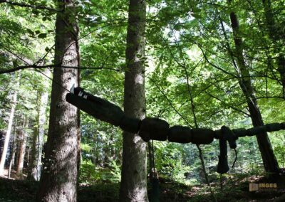 Bei den Waldgeistern am Herrenbachstausee 28 Koboldklinge am Waldlehrpfad am Herrenbachstausee