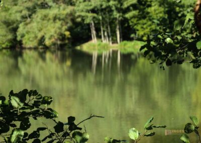 Bei den Waldgeistern am Herrenbachstausee 32 Herrenbachstausee