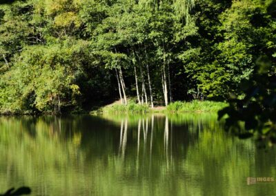 Bei den Waldgeistern am Herrenbachstausee 33 Herrenbachstausee
