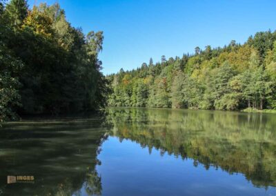 Bei den Waldgeistern am Herrenbachstausee 34 Herrenbachstausee