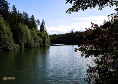 Bei den Waldgeistern am Herrenbachstausee 35 Herrenbachstausee