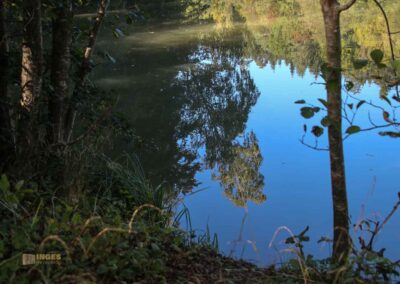 Bei den Waldgeistern am Herrenbachstausee 21 Herrenbachstausee