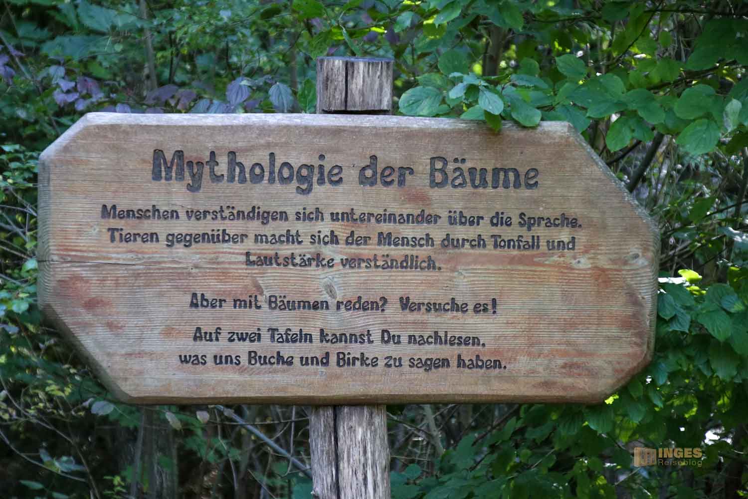 die Mythologie der Bäume beim Herrenbachstausee Kreis Göppingen 0254 die Mythologie der Bäume beim Herrenbachstausee Kreis Göppingen 0254
